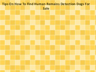 Tips On How To Find Human Remains Detection Dogs For 
Sale 
 