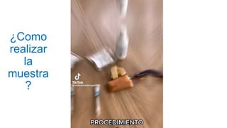 ¿Como
realizar
la
muestra
?
 