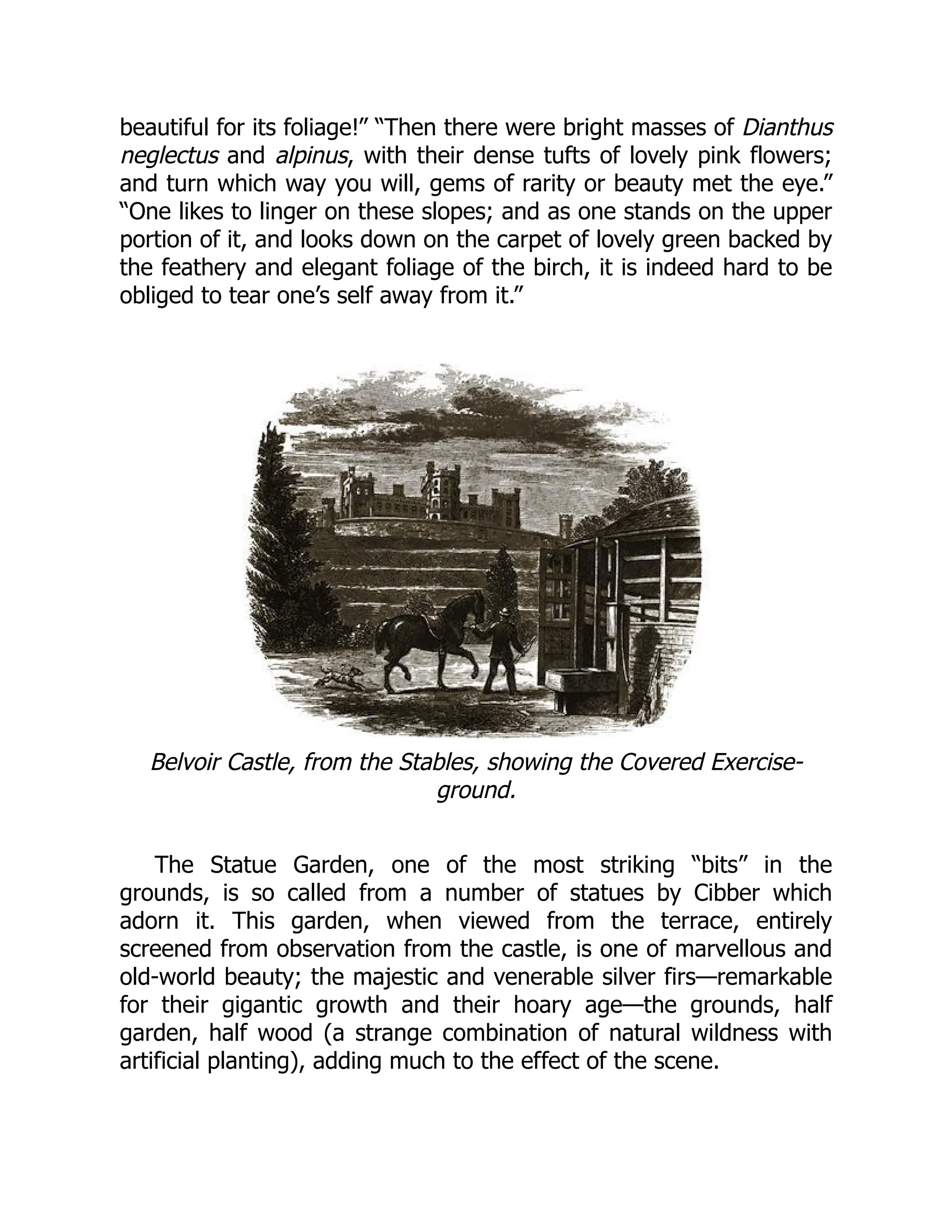 beautiful for its foliage!” “Then there were bright masses of Dianthus
neglectus and alpinus, with their dense tufts of lovely pink flowers;
and turn which way you will, gems of rarity or beauty met the eye.”
“One likes to linger on these slopes; and as one stands on the upper
portion of it, and looks down on the carpet of lovely green backed by
the feathery and elegant foliage of the birch, it is indeed hard to be
obliged to tear one’s self away from it.”
Belvoir Castle, from the Stables, showing the Covered Exercise-
ground.
The Statue Garden, one of the most striking “bits” in the
grounds, is so called from a number of statues by Cibber which
adorn it. This garden, when viewed from the terrace, entirely
screened from observation from the castle, is one of marvellous and
old-world beauty; the majestic and venerable silver firs—remarkable
for their gigantic growth and their hoary age—the grounds, half
garden, half wood (a strange combination of natural wildness with
artificial planting), adding much to the effect of the scene.
 