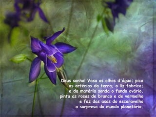 Deus sonha! Vasa os olhos d'água; pica  as artérias da terra; o liz fabrica;  e da matéria sonda o fundo ovário,  pinta as rosas de branco e de vermelho  e faz das asas do escaravelho  a surpresa do mundo planetário.  