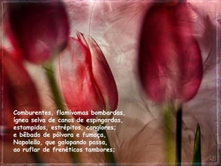 Comburentes, flamívomas bombardas,  ígnea selva de canos de espingardas,  estampidos, estrépitos, canglores;  e bêbado de pólvora e fumaça,  Napoleão, que galopando passa,  ao ruflar de frenéticos tambores; 