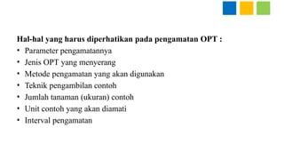 Metode Pengamatan Dan Pelaporan OPT Hortikultura Makasar 2023.pptx