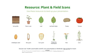 672e254e7173e918a3ff3211_Agriculture-labmeeting-kit-minimal-BioRender.pptx
