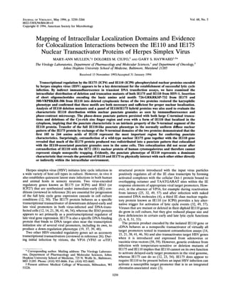 3 Mapping of Intracellular