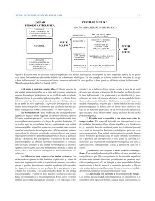 CÓDIGO ESTRATIGRÁFICO NORTEAMERICANO                                                                                                        31




Figura 6. Relación entre las unidades pedoestratigráficas y los perfiles pedológicos. En un perfil de suelo sepultado, la base de un geosol
es el límite físico más bajo claramente definido de un horizonte edafológico. En este ejemplo, es el límite inferior del horizonte B, ya que
la base del horizonte C no constituye un límite claramente definido. En otros perfiles, la base puede ser el límite inferior del horizonte C.
*Modificado de Ruhe (1965) y Pawluk (1978).

        (c) Límites y posición estratigráfica.- El límite superior de     rizonte C no se define en forma rígida; es sólo la parte de un perfil
una unidad pedoestratigráfica es la cima del horizonte pedológico         de suelo que subyace al horizonte B. En muchos perfiles de suelo,
superior formado por pedogénesis en un perfil de suelo sepultado.         la base del horizonte C es gradacional o no identificable y, gene-
El límite inferior de una unidad pedoestratigráfica es el límite físico   ralmente, se coloca de manera arbitraria. La necesidad de límites
definitivo más bajo determinado de un horizonte pedológico dentro         físicos, claramente definidos y fácilmente reconocibles para una
de un perfil de suelo sepultado. La posición estratigráfica de una        unidad estratigráfica, requiere que el límite inferior de una unidad
unidad pedoestratigráfica se determina por su relación con las uni-       pedoestratigráfica se defina como el límite físico definitivo más
dades estratigráficas sobre- y subyacentes (ver observación d).           bajo de un horizonte pedológico en un perfil de suelo sepultado, y
        (d) Rastreabilidad.- Para establecer una unidad pedoestra-        que una parte o todo el horizonte C pueda excluirse de una unidad
tigráfica es esencial poder seguir en el subsuelo el límite superior      pedoestratigráfica.
del suelo sepultado porque (1) pocos suelos sepultados están inin-                (f) Relación con la saprolita y con otros materiales in-
terrumpidamente expuestos a lo largo de grandes distancias, (2)           temperizados.- Un material derivado por intemperismo in situ
es posible que las propiedades físicas y químicas de una unidad           de unidades litoestratigráficas, aloestratigráficas y/o litodémicas
pedoestratigráfica específica varíen en gran medida tanto vertical        (e. g., saprolita, bauxita, residuos) puede ser el material parental
como horizontalmente de un lugar a otro, y (3) las unidades pedoes-       en el cual se forman los horizontes pedológicos, pero no es un
tratigráficas de diferente significado estratigráfico en una misma        suelo propiamente. Una unidad pedoestratigráfica puede basarse
región generalmente no presentan características físicas y químicas       en los horizontes pedológicos de un suelo sepultado desarrollado
únicas y distintivas. Por consiguiente, la extensión de una unidad        en el producto del intemperismo in situ, como la saprolita. Los
pedoestratigráfica se obtiene rastreando lateralmente el contacto         materiales que originan tal unidad pedoestratigráfica son tanto la
entre un suelo sepultado y una unidad litoestratigráfica o aloestra-      saprolita como, indirectamente, la roca a partir de la cual ésta se
tigráfica sobreyacente que esté formalmente definida, o entre un          formó.
suelo y dos o más unidades estratigráficas demostrablemente co-                   (g) Diferencia con respecto a otras unidades estratigrá-
rrelativas.                                                               ficas.- Una unidad pedoestratigráfica difiere de otras unidades es-
        (e) Diferencias con respecto a los suelos recientes.- Los         tratigráficas en que (1) es un producto de la alteración superficial
suelos recientes pueden incluir depósitos orgánicos (e. g., zonas de      de una o más unidades materiales preexistentes por procesos espe-
basureros, depósitos de turba o depósitos de pantano) que sobre-          cíficos (pedogénesis), (2) su litología y otras propiedades difieren
yazcan o gradúen lateralmente a suelos sepultados diferenciados.          notablemente de las del material o materiales parentales, y (3) una
Los depósitos orgánicos no son producto de la pedogénesis y, por          sola unidad pedoestratigráfica puede formarse in situ en unidades
lo tanto, los horizontes O no están incluidos dentro de una unidad        de material parental de diversa composición y edad.
pedoestratigráfica (Figura 6); éstos pueden clasificarse como uni-                (h) Autonomía con respecto a los conceptos de tiempo.-
dades bioestratigráficas o litoestratigráficas. Estos suelos recientes    Los límites de una unidad pedoestratigráfica son diacrónicos. Los
también incluyen la totalidad del horizonte C. En pedología, el ho-       conceptos sobre lapsos de tiempo, aunque hayan sido medidos, no
 