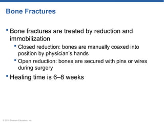 674367441-Ch5-Skeletal-Edited-91-Slides.pptx