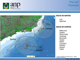 “Pré-sal”
Produção
BACIA DE SANTOS
Lula
Sapinhoá
BACIA DE CAMPOS
Baleia azul
Jubarte
Marlim leste
Caratinga
Barracuda
Voador
Marlim
Linguado*
Pirambu
Pampo*
Trilha*
*Horizonte geológico denominado pré-sal - Medida
Provisória nº 592/2012
Fonte : ANP (abril 2013)
Lula
Sapinhoá
Parque
das Baleias
Santos
Campos
 