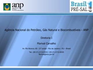 Agência Nacional do Petróleo, Gás Natural e Biocombustíveis - ANP
Diretoria I
Florival Carvalho
Av. Rio Branco, 65 - 21º andar - Rio de Janeiro – RJ – Brasil
Tel.: (55 21) 2112-8353 / (55 21) 2112-8535
florival@anp.gov.br
 