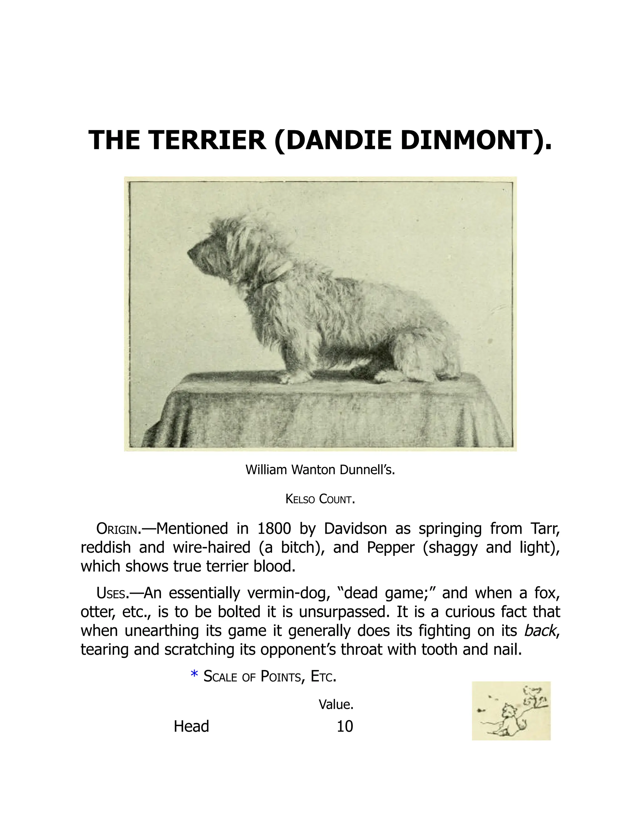 THE TERRIER (DANDIE DINMONT).
William Wanton Dunnell’s.
Kelso Count.
Origin.—Mentioned in 1800 by Davidson as springing from Tarr,
reddish and wire-haired (a bitch), and Pepper (shaggy and light),
which shows true terrier blood.
Uses.—An essentially vermin-dog, “dead game;” and when a fox,
otter, etc., is to be bolted it is unsurpassed. It is a curious fact that
when unearthing its game it generally does its fighting on its back,
tearing and scratching its opponent’s throat with tooth and nail.
* Scale of Points, Etc.
Value.
Head 10
 