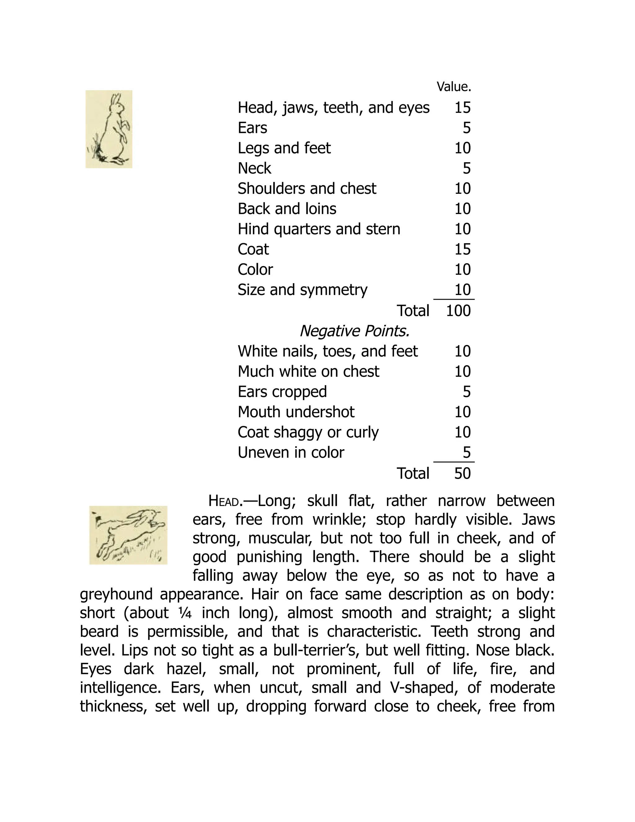 Value.
Head, jaws, teeth, and eyes 15
Ears 5
Legs and feet 10
Neck 5
Shoulders and chest 10
Back and loins 10
Hind quarters and stern 10
Coat 15
Color 10
Size and symmetry 10
Total 100
Negative Points.
White nails, toes, and feet 10
Much white on chest 10
Ears cropped 5
Mouth undershot 10
Coat shaggy or curly 10
Uneven in color 5
Total 50
Head.—Long; skull flat, rather narrow between
ears, free from wrinkle; stop hardly visible. Jaws
strong, muscular, but not too full in cheek, and of
good punishing length. There should be a slight
falling away below the eye, so as not to have a
greyhound appearance. Hair on face same description as on body:
short (about ¼ inch long), almost smooth and straight; a slight
beard is permissible, and that is characteristic. Teeth strong and
level. Lips not so tight as a bull-terrier’s, but well fitting. Nose black.
Eyes dark hazel, small, not prominent, full of life, fire, and
intelligence. Ears, when uncut, small and V-shaped, of moderate
thickness, set well up, dropping forward close to cheek, free from
 