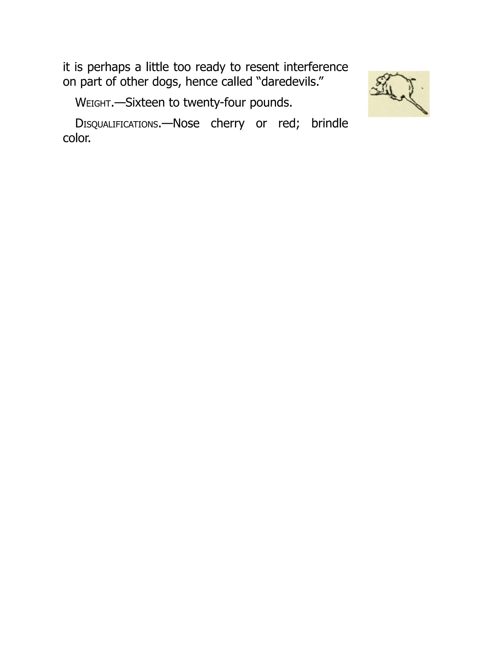 it is perhaps a little too ready to resent interference
on part of other dogs, hence called “daredevils.”
Weight.—Sixteen to twenty-four pounds.
Disqualifications.—Nose cherry or red; brindle
color.
 