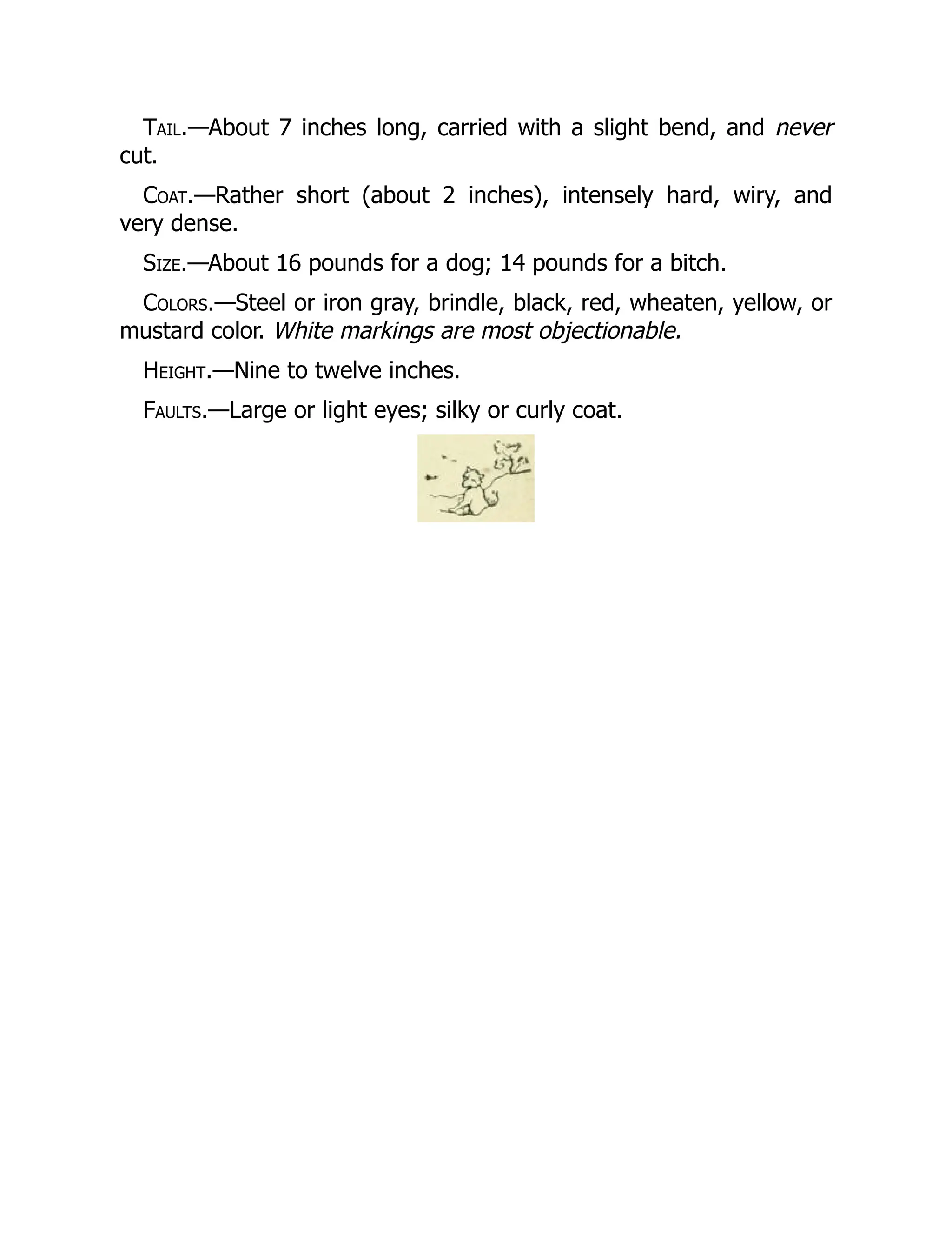 Tail.—About 7 inches long, carried with a slight bend, and never
cut.
Coat.—Rather short (about 2 inches), intensely hard, wiry, and
very dense.
Size.—About 16 pounds for a dog; 14 pounds for a bitch.
Colors.—Steel or iron gray, brindle, black, red, wheaten, yellow, or
mustard color. White markings are most objectionable.
Height.—Nine to twelve inches.
Faults.—Large or light eyes; silky or curly coat.
 