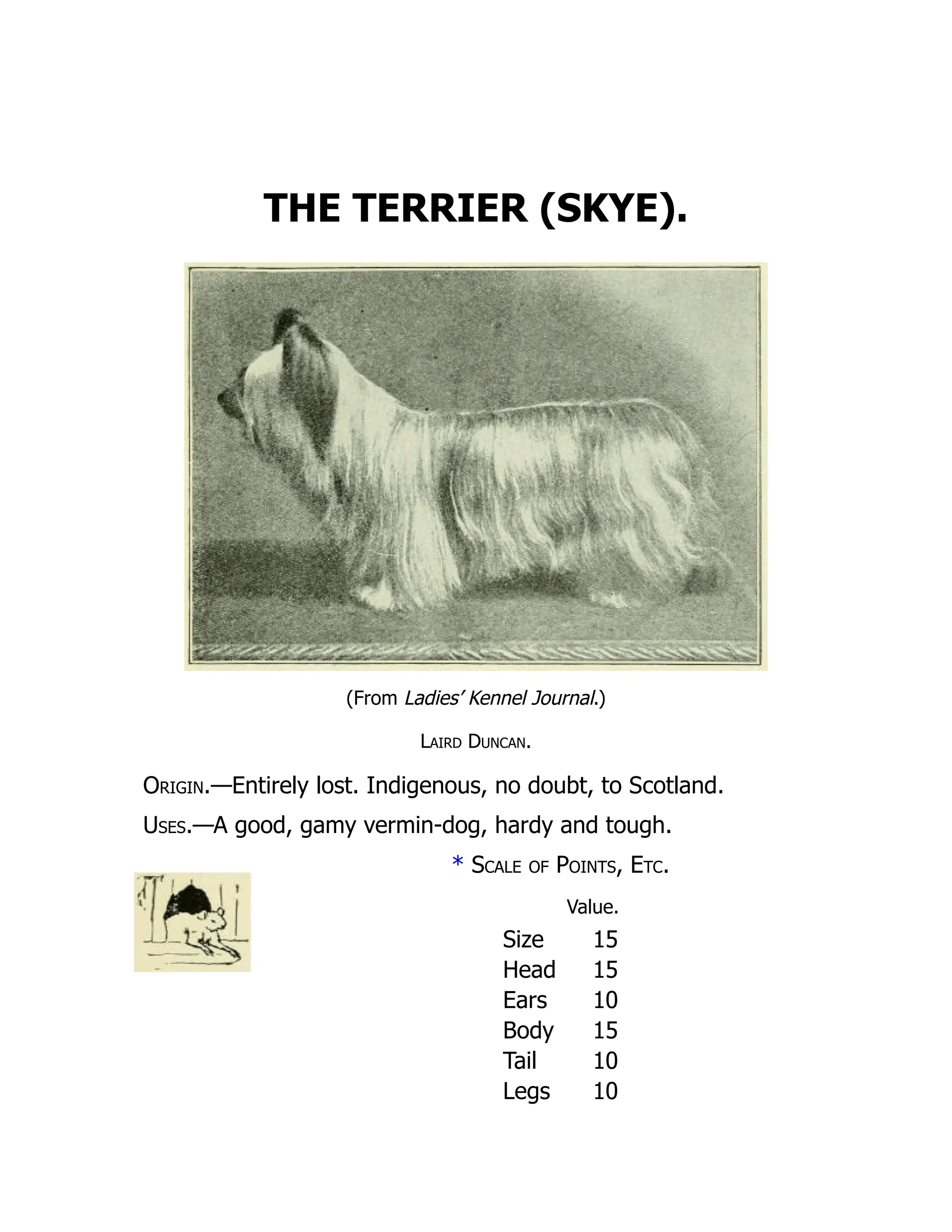 THE TERRIER (SKYE).
(From Ladies’ Kennel Journal.)
Laird Duncan.
Origin.—Entirely lost. Indigenous, no doubt, to Scotland.
Uses.—A good, gamy vermin-dog, hardy and tough.
* Scale of Points, Etc.
Value.
Size 15
Head 15
Ears 10
Body 15
Tail 10
Legs 10
 