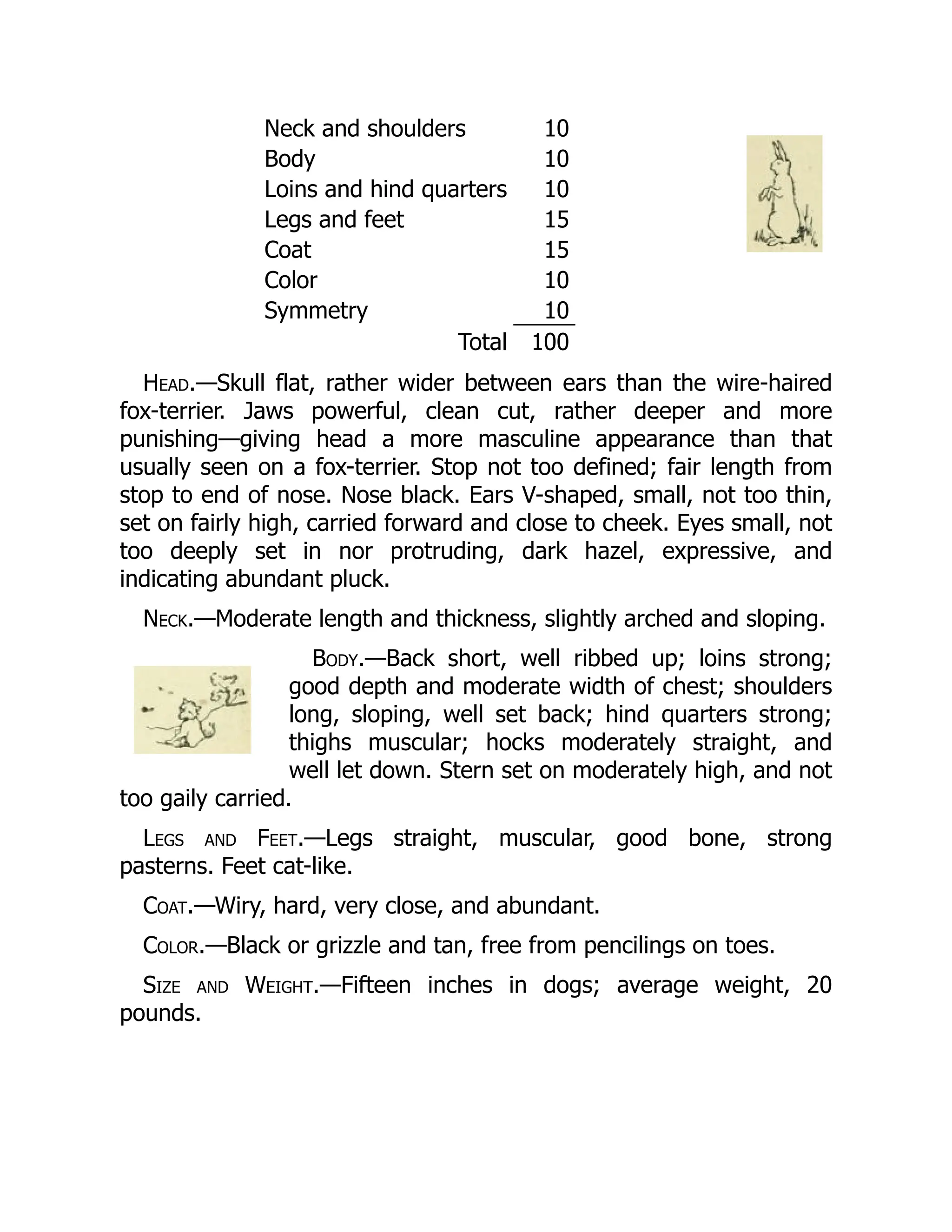 Neck and shoulders 10
Body 10
Loins and hind quarters 10
Legs and feet 15
Coat 15
Color 10
Symmetry 10
Total 100
Head.—Skull flat, rather wider between ears than the wire-haired
fox-terrier. Jaws powerful, clean cut, rather deeper and more
punishing—giving head a more masculine appearance than that
usually seen on a fox-terrier. Stop not too defined; fair length from
stop to end of nose. Nose black. Ears V-shaped, small, not too thin,
set on fairly high, carried forward and close to cheek. Eyes small, not
too deeply set in nor protruding, dark hazel, expressive, and
indicating abundant pluck.
Neck.—Moderate length and thickness, slightly arched and sloping.
Body.—Back short, well ribbed up; loins strong;
good depth and moderate width of chest; shoulders
long, sloping, well set back; hind quarters strong;
thighs muscular; hocks moderately straight, and
well let down. Stern set on moderately high, and not
too gaily carried.
Legs and Feet.—Legs straight, muscular, good bone, strong
pasterns. Feet cat-like.
Coat.—Wiry, hard, very close, and abundant.
Color.—Black or grizzle and tan, free from pencilings on toes.
Size and Weight.—Fifteen inches in dogs; average weight, 20
pounds.
 