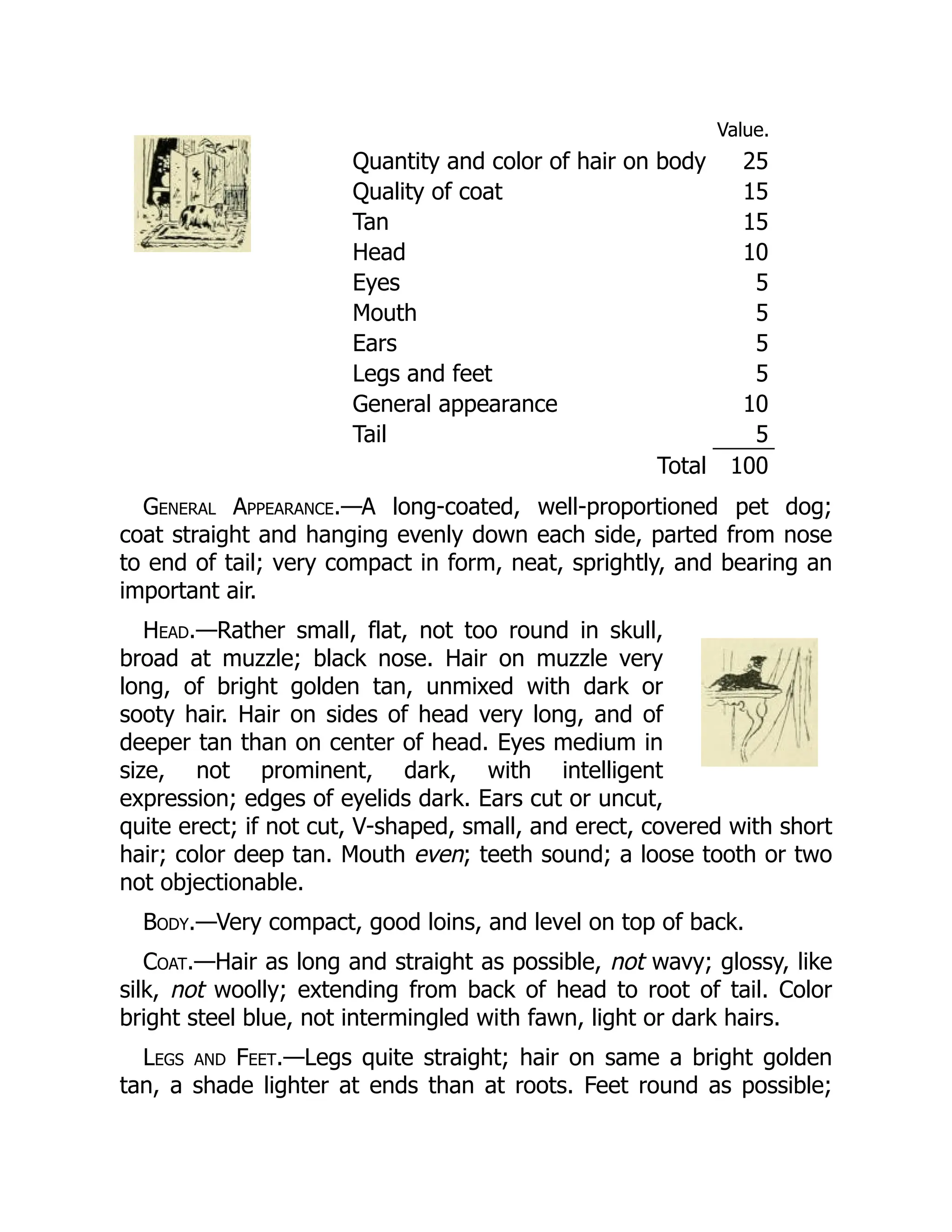Value.
Quantity and color of hair on body 25
Quality of coat 15
Tan 15
Head 10
Eyes 5
Mouth 5
Ears 5
Legs and feet 5
General appearance 10
Tail 5
Total 100
General Appearance.—A long-coated, well-proportioned pet dog;
coat straight and hanging evenly down each side, parted from nose
to end of tail; very compact in form, neat, sprightly, and bearing an
important air.
Head.—Rather small, flat, not too round in skull,
broad at muzzle; black nose. Hair on muzzle very
long, of bright golden tan, unmixed with dark or
sooty hair. Hair on sides of head very long, and of
deeper tan than on center of head. Eyes medium in
size, not prominent, dark, with intelligent
expression; edges of eyelids dark. Ears cut or uncut,
quite erect; if not cut, V-shaped, small, and erect, covered with short
hair; color deep tan. Mouth even; teeth sound; a loose tooth or two
not objectionable.
Body.—Very compact, good loins, and level on top of back.
Coat.—Hair as long and straight as possible, not wavy; glossy, like
silk, not woolly; extending from back of head to root of tail. Color
bright steel blue, not intermingled with fawn, light or dark hairs.
Legs and Feet.—Legs quite straight; hair on same a bright golden
tan, a shade lighter at ends than at roots. Feet round as possible;
 
