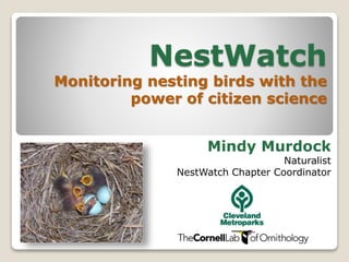 NestWatch
Monitoring nesting birds with the
power of citizen science
Mindy Murdock
Naturalist
NestWatch Chapter Coordinator
 