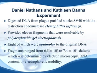 Daniel Nathans and Kathleen Danna
Experiment
► Digested DNA from plague purified stocks SV40 with the
restriction endonuclease Hemophillus influenza.
► Provided eleven fragments that were resolvable by
polyacrylamide gel electrophoresis.
► Eight of which were equimolar to the original DNA.
► Fragments ranged from 6.5 × 105 to 7.4 × 104 daltons
which was determined by electron microscopy, DNA
content, or electrophoretic mobility.
 