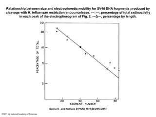 Relationship between size and electrophoretic mobility for SV40 DNA fragments produced by
cleavage with H. influenzae restriction endouncelease. —○—, percentage of total radioactivity
in each peak of the electropherogram of Fig. 2. —Δ—, percentage by length.
Danna K , and Nathans D PNAS 1971;68:2913-2917
©1971 by National Academy of Sciences
 