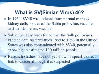 What is SV(Simian Virus) 40?
► In 1960, SV40 was isolated from normal monkey
kidney cells, stocks of the Sabin poliovirus vaccine,
and an adenovirus vaccine.
► Subsequent analyses found that the Salk poliovirus
vaccine administered from 1955 to 1963 in the United
States was also contaminated with SV40, potentially
exposing an estimated 100 million people
► Research studies have not yet shown a specific direct
link to cancer although it is suspected
 