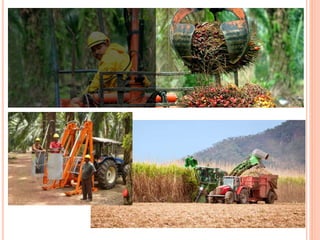 Emerging Trends-Occupational Health and Safety in Plantation sector