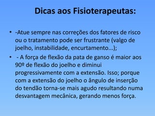 Dicas aos Fisioterapeutas:
• -Atue sempre nas correções dos fatores de risco
ou o tratamento pode ser frustrante (valgo de
joelho, instabilidade, encurtamento...);
• - A força de flexão da pata de ganso é maior aos
90º de flexão do joelho e diminui
progressivamente com a extensão. Isso; porque
com a extensão do joelho o ângulo de inserção
do tendão torna-se mais agudo resultando numa
desvantagem mecânica, gerando menos força.
 