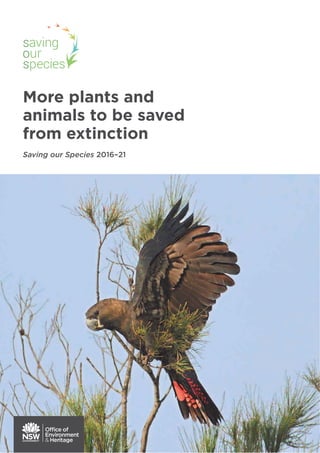 More plants and
animals to be saved
from extinction
Saving our Species 2016–21
 