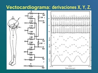 Vectocardiograma: derivaciones X, Y, Z.
 