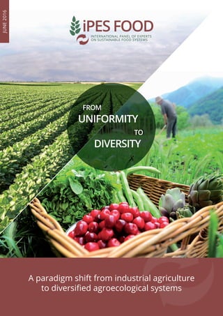 FROM
UNIFORMITY
TO
DIVERSITY
A paradigm shift from industrial agriculture
to diversified agroecological systems
JUNE2016
 