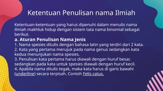 Ketentuan Penulisan nama Ilmiah
Ketentuan-ketentuan yang harus dipenuhi dalam menulis nama
ilmiah makhluk hidup dengan sistem tata nama binomial sebagai
berikut.
a. Aturan Penulisan Nama Jenis
1. Nama spesies ditulis dengan bahasa latin yang terdiri dari 2 kata.
2. Kata yang pertama merujuk pada nama genus sedangkan kata
kedua menunjukan nama spesies.
3. Penulisan kata pertama harus diawali dengan huruf besar,
sedangkan pada kata untuk spesies diawali dengan huruf kecil.
4. Apabila nama ditulis tegak, maka kata harus di garis bawahi
(underline) secara terpisah. Contoh Felis catus.
 