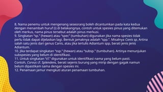 8. Nama penemu untuk mengenang seseorang boleh dicantumkan pada kata kedua
dengan menambah huruf (i) di belakangnya, contoh untuk spesies pinus yang ditemukan
oleh merkus, nama pinus tersebut adalah pinus merkusi.
9. Singkatan “sp.” (hewan) atau “spec” (tumbuhan) digunakan jika nama spesies tidak
perlu tidak dapat dijelaskan lagi. Bentuk jamaknya adalah “spp.”. Misalnya Canis sp, Artina
salah satu jenis dari genus Canis, atau jika tertulis Adiantum spp, berati jenis jenis
Adiantum.
10. Jika terdapat singkatan “ssp.” (hewan) atau “subsp.” (tumbuhan). Artinya menunjukan
subspesies yang belum di identifikasi.
11. Untuk singkatan “cf.” digunakan untuk identifikasi nama yang belum pasti.
Contoh, Corvus cf. Splendens, berati sejenis burung yang mirip dengan gagak namun
belum dipastikam sama dengan spesies ini.
12. Penamaan jamur mengkuti aturan penamaan tumbuhan.
 
