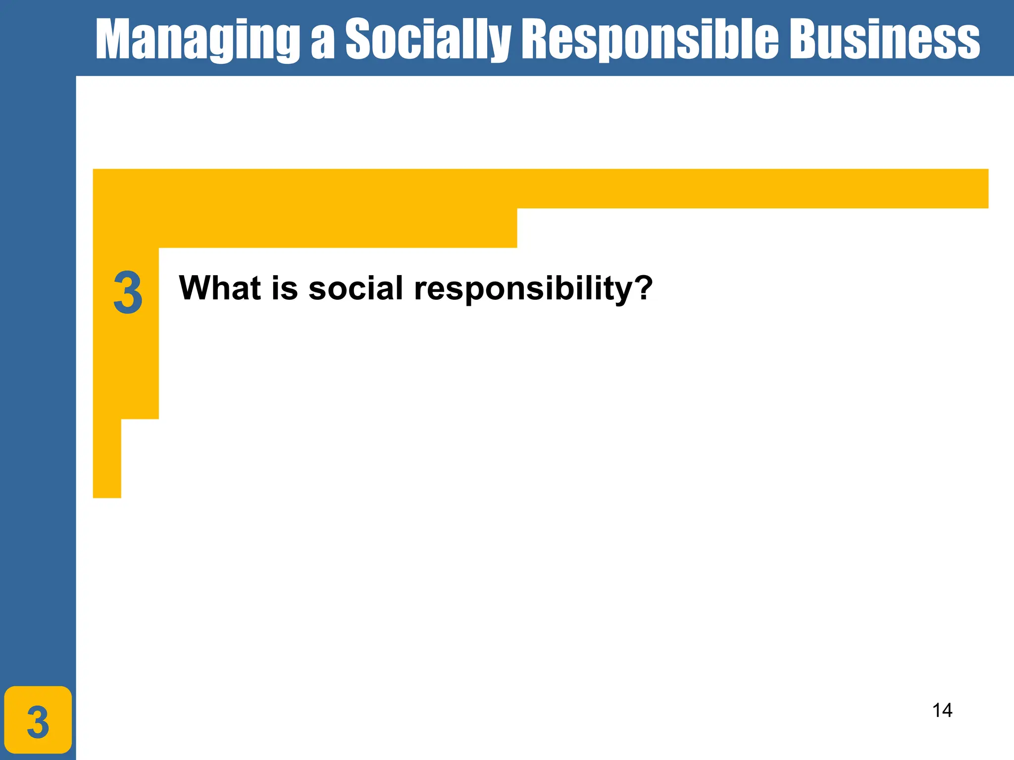 14
Managing a Socially Responsible Business
3
What is social responsibility?
3
 