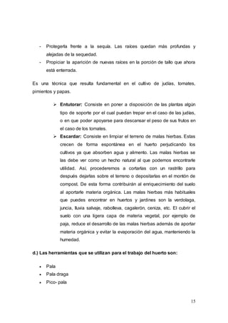 15
- Protegerla frente a la sequía. Las raíces quedan más profundas y
alejadas de la sequedad.
- Propiciar la aparición de nuevas raíces en la porción de tallo que ahora
está enterrada.
Es una técnica que resulta fundamental en el cultivo de judías, tomates,
pimientos y papas.
 Entutorar: Consiste en poner a disposición de las plantas algún
tipo de soporte por el cual puedan trepar en el caso de las judías,
o en que poder apoyarse para descansar el peso de sus frutos en
el caso de los tomates.
 Escardar: Consiste en limpiar el terreno de malas hierbas. Estas
crecen de forma espontánea en el huerto perjudicando los
cultivos ya que absorben agua y alimento. Las malas hierbas se
las debe ver como un hecho natural al que podemos encontrarle
utilidad. Así, procederemos a cortarlas con un rastrillo para
después dejarlas sobre el terreno o depositarlas en el montón de
compost. De esta forma contribuirán al enriquecimiento del suelo
al aportarle materia orgánica. Las malas hierbas más habituales
que puedes encontrar en huertos y jardines son la verdolaga,
juncia, lluvia salvaje, rabolleva, cagalerón, ceniza, etc. El cubrir el
suelo con una ligera capa de materia vegetal, por ejemplo de
paja, reduce el desarrollo de las malas hierbas además de aportar
materia orgánica y evitar la evaporación del agua, manteniendo la
humedad.
d.) Las herramientas que se utilizan para el trabajo del huerto son:
 Pala
 Pala draga
 Pico- pala
 