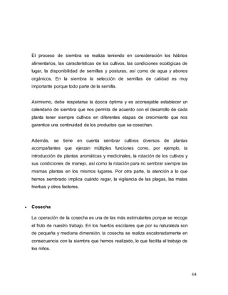 64
El proceso de siembra se realiza teniendo en consideración los hábitos
alimentarios, las características de los cultivos, las condiciones ecológicas de
lugar, la disponibilidad de semillas y posturas, así como de agua y abonos
orgánicos. En la siembra la selección de semillas de calidad es muy
importante porque todo parte de la semilla.
Asimismo, debe respetarse la época óptima y es aconsejable establecer un
calendario de siembra que nos permita de acuerdo con el desarrollo de cada
planta tener siempre cultivos en diferentes etapas de crecimiento que nos
garantice una continuidad de los productos que se cosechan.
Además, se tiene en cuenta sembrar cultivos diversos de plantas
acompañantes que ejerzan múltiples funciones como, por ejemplo, la
introducción de plantas aromáticas y medicinales, la rotación de los cultivos y
sus condiciones de manejo, así como la rotación para no sembrar siempre las
mismas plantas en los mismos lugares. Por otra parte, la atención a lo que
hemos sembrado implica cuándo regar, la vigilancia de las plagas, las malas
hierbas y otros factores.
 Cosecha
La operación de la cosecha es una de las más estimulantes porque se recoge
el fruto de nuestro trabajo. En los huertos escolares que por su naturaleza son
de pequeña y mediana dimensión, la cosecha se realiza escalonadamente en
consecuencia con la siembra que hemos realizado, lo que facilita el trabajo de
los niños.
 
