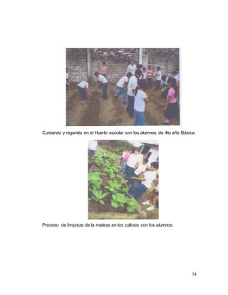 74
Cuidando y regando en el Huerto escolar con los alumnos de 4to año Básica
Proceso de limpieza de la maleza en los culti...