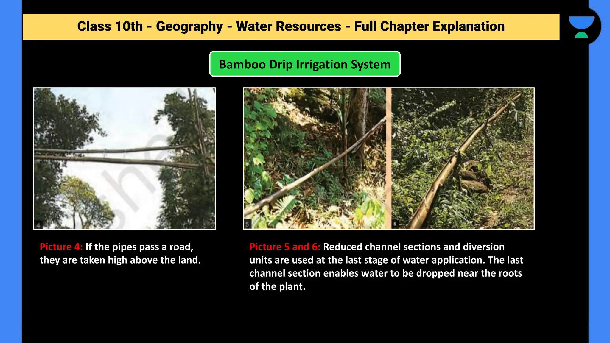 Class 10th - Geography - Forest and Wildlife Resources - Full Chapter Explanation
Bamboo Drip Irrigation System
Class 10th - Geography - Water Resources - Full Chapter Explanation
Picture 4: If the pipes pass a road,
they are taken high above the land.
Picture 5 and 6: Reduced channel sections and diversion
units are used at the last stage of water application. The last
channel section enables water to be dropped near the roots
of the plant.
 