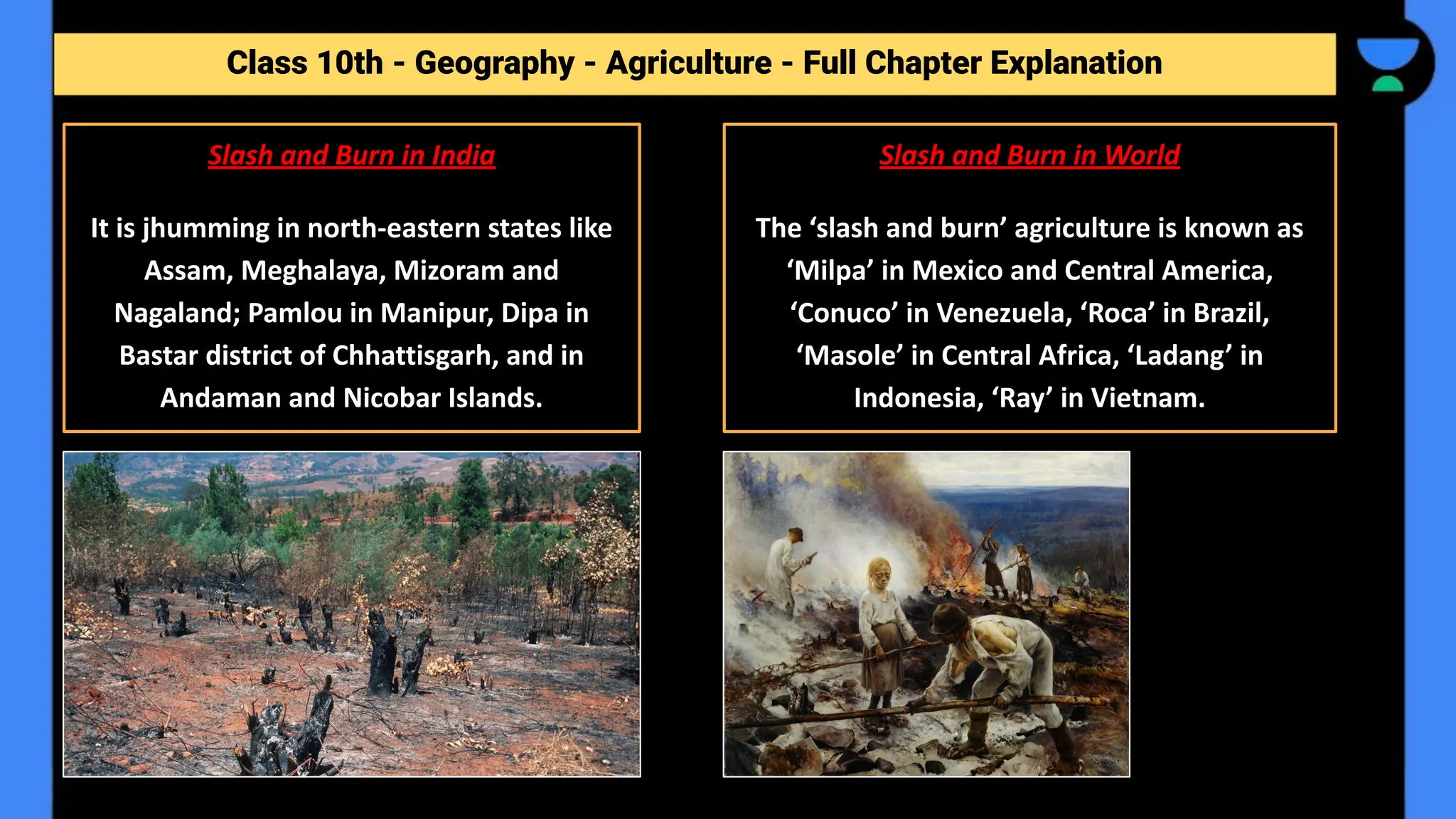 Class 10th - Geography - Agriculture - Full Chapter Explanation
Slash and Burn in India
It is jhumming in north-eastern states like
Assam, Meghalaya, Mizoram and
Nagaland; Pamlou in Manipur, Dipa in
Bastar district of Chhattisgarh, and in
Andaman and Nicobar Islands.
Slash and Burn in World
The ‘slash and burn’ agriculture is known as
‘Milpa’ in Mexico and Central America,
‘Conuco’ in Venezuela, ‘Roca’ in Brazil,
‘Masole’ in Central Africa, ‘Ladang’ in
Indonesia, ‘Ray’ in Vietnam.
 