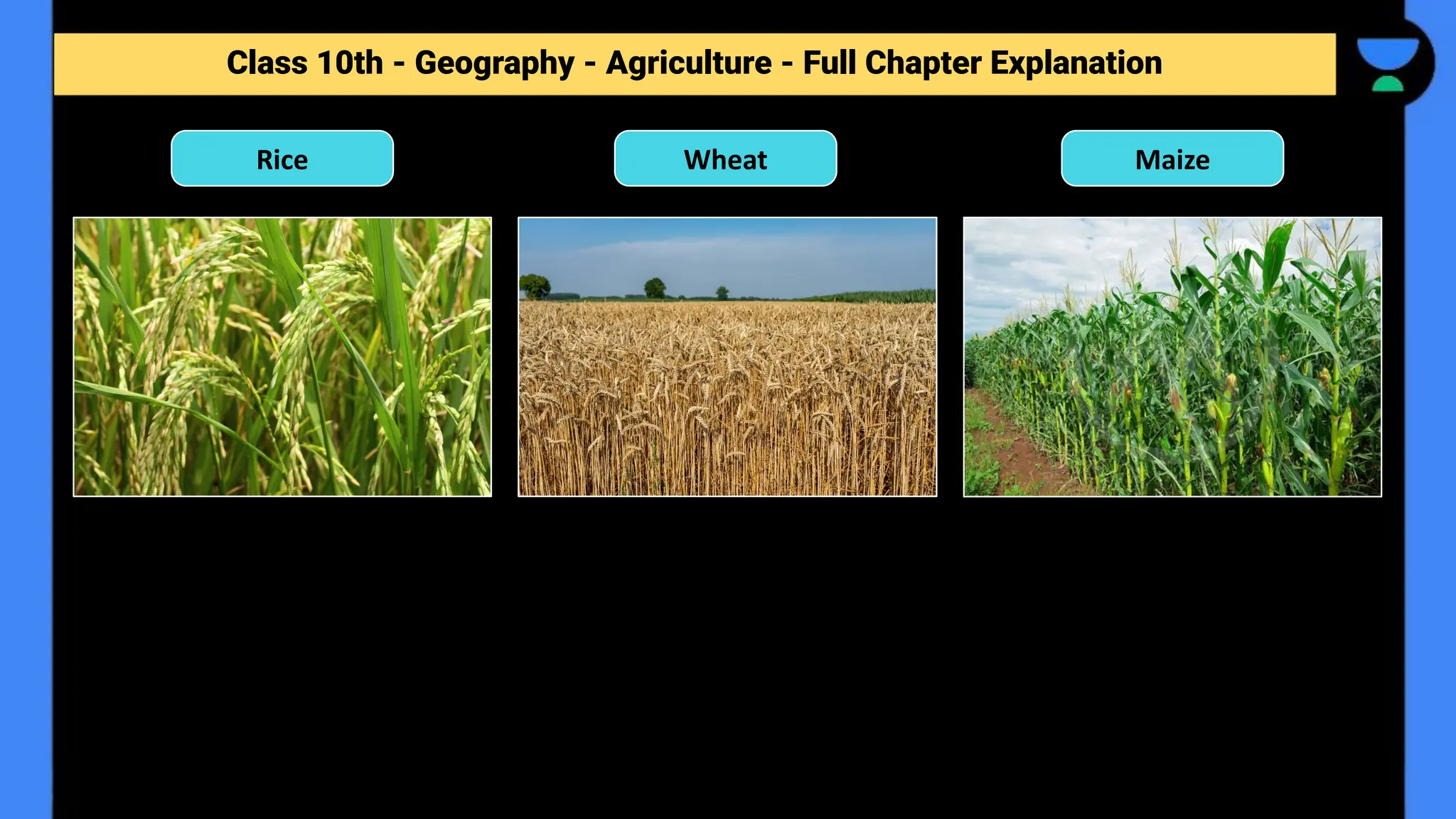 Class 10th - Geography - Agriculture - Full Chapter Explanation
Maize
Rice Wheat
 