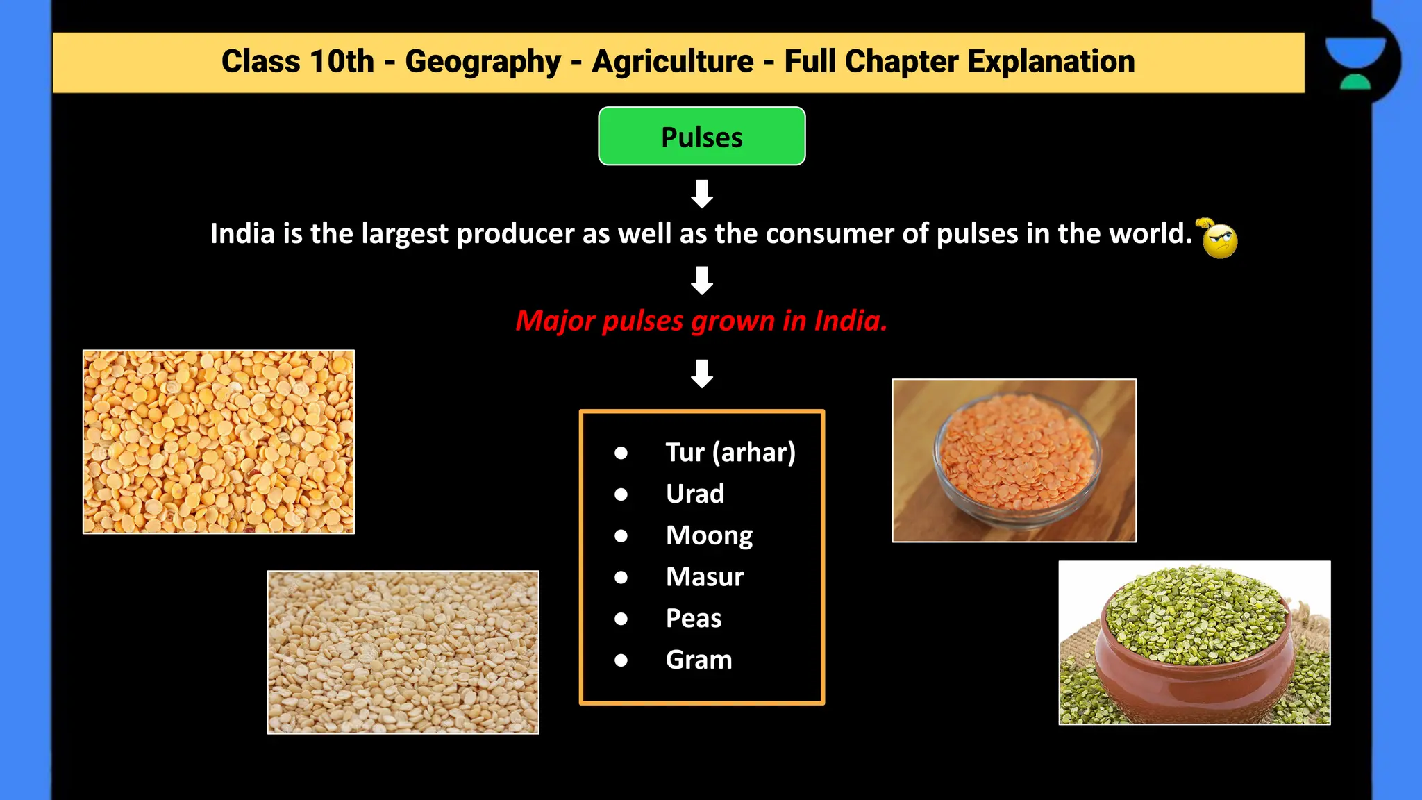 Class 10th - Geography - Agriculture - Full Chapter Explanation
India is the largest producer as well as the consumer of pulses in the world.
Major pulses grown in India.
Pulses
● Tur (arhar)
● Urad
● Moong
● Masur
● Peas
● Gram
 