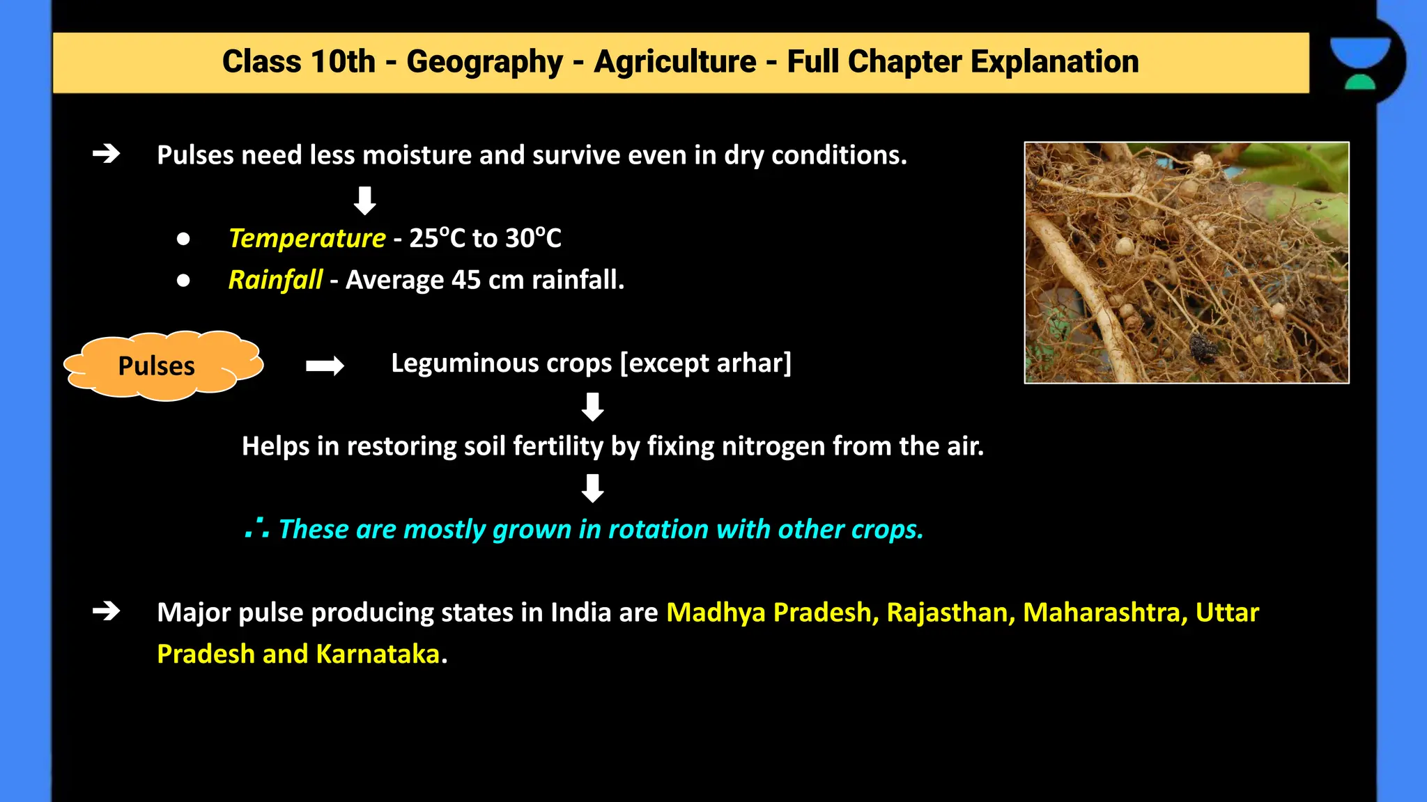 Class 10th - Geography - Agriculture - Full Chapter Explanation
➔ Pulses need less moisture and survive even in dry conditions.
● Temperature - 25o
C to 30o
C
● Rainfall - Average 45 cm rainfall.
Leguminous crops [except arhar]
Helps in restoring soil fertility by fixing nitrogen from the air.
∴ These are mostly grown in rotation with other crops.
➔ Major pulse producing states in India are Madhya Pradesh, Rajasthan, Maharashtra, Uttar
Pradesh and Karnataka.
Pulses
 