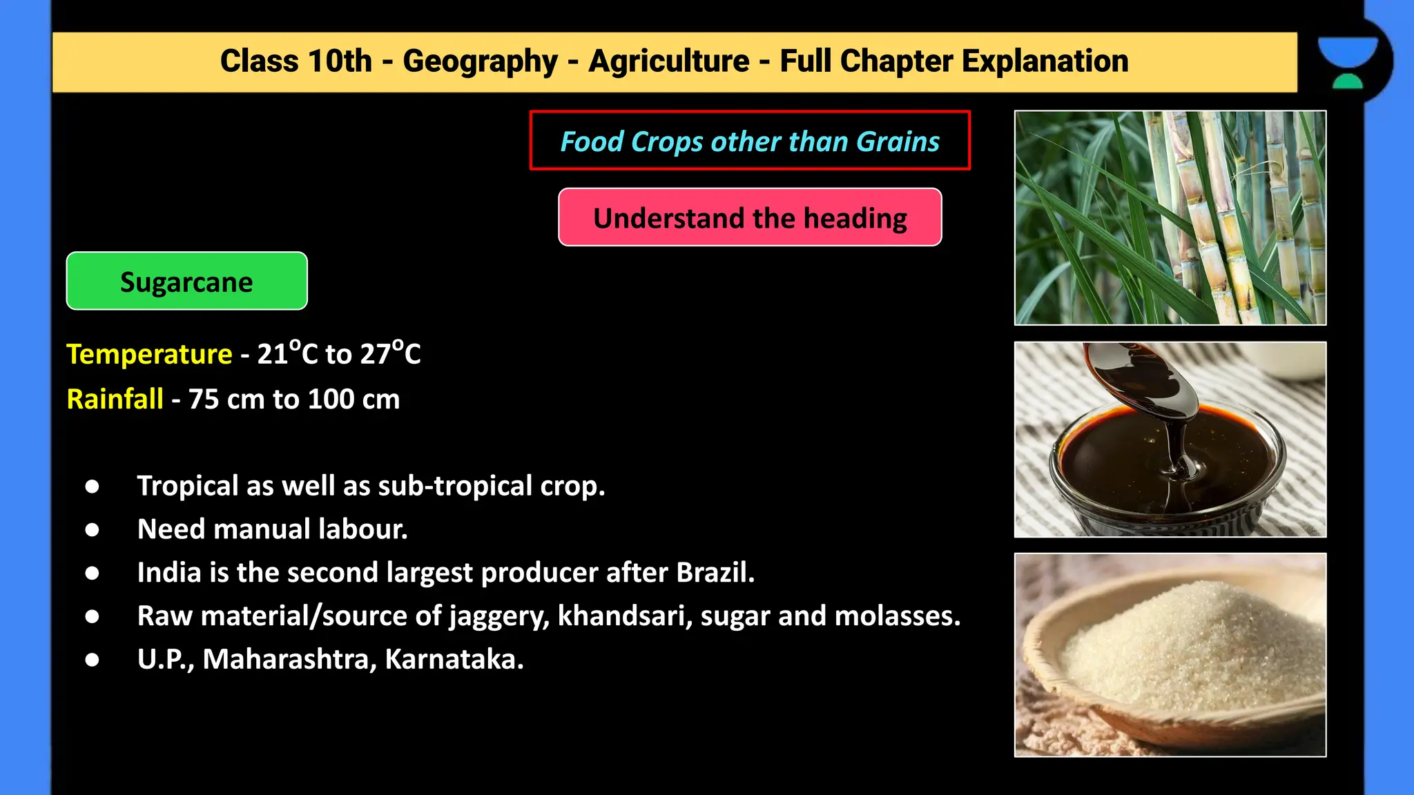 Class 10th - Geography - Agriculture - Full Chapter Explanation
Temperature - 21o
C to 27o
C
Rainfall - 75 cm to 100 cm
● Tropical as well as sub-tropical crop.
● Need manual labour.
● India is the second largest producer after Brazil.
● Raw material/source of jaggery, khandsari, sugar and molasses.
● U.P., Maharashtra, Karnataka.
Food Crops other than Grains
Understand the heading
Sugarcane
 