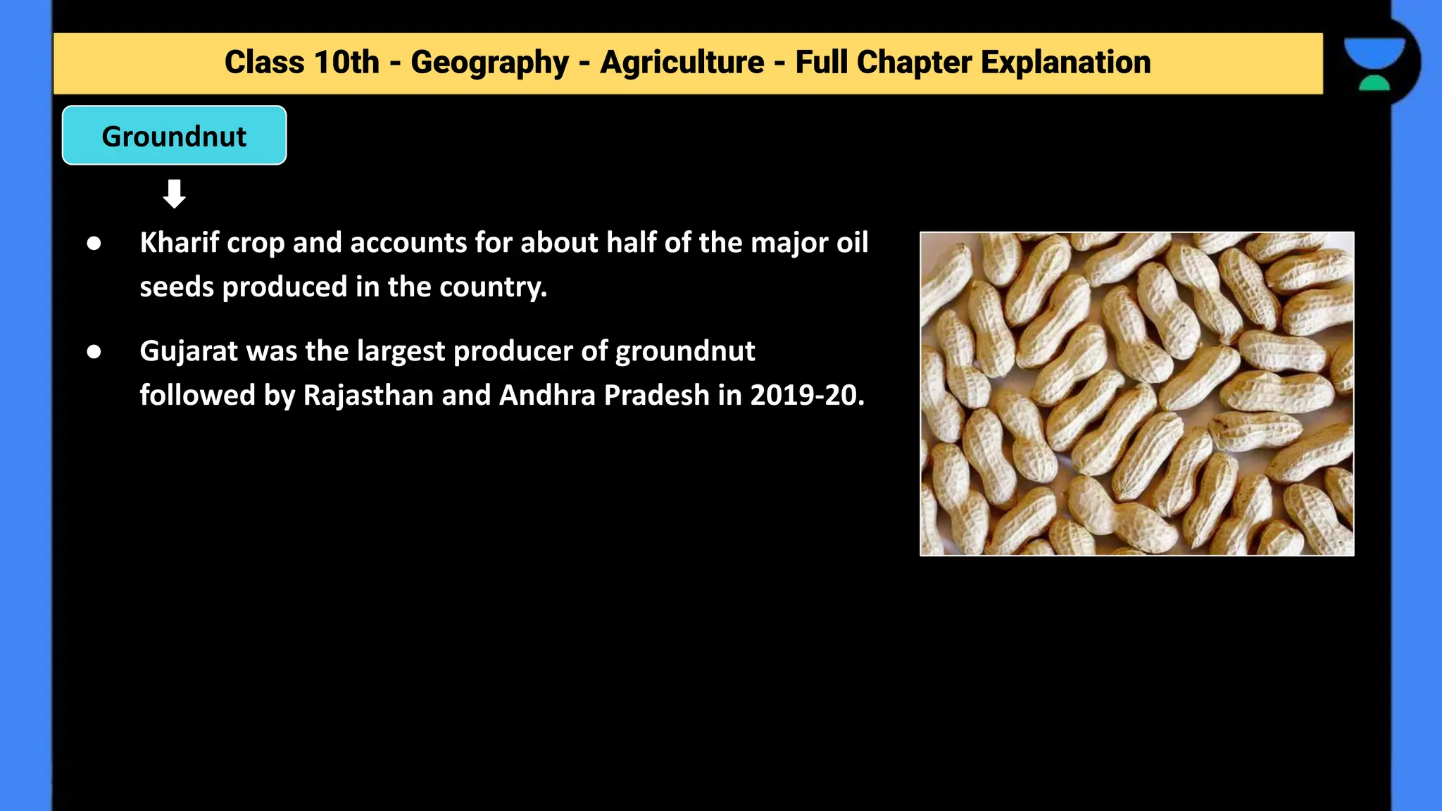 Class 10th - Geography - Agriculture - Full Chapter Explanation
● Kharif crop and accounts for about half of the major oil
seeds produced in the country.
● Gujarat was the largest producer of groundnut
followed by Rajasthan and Andhra Pradesh in 2019-20.
Groundnut
 