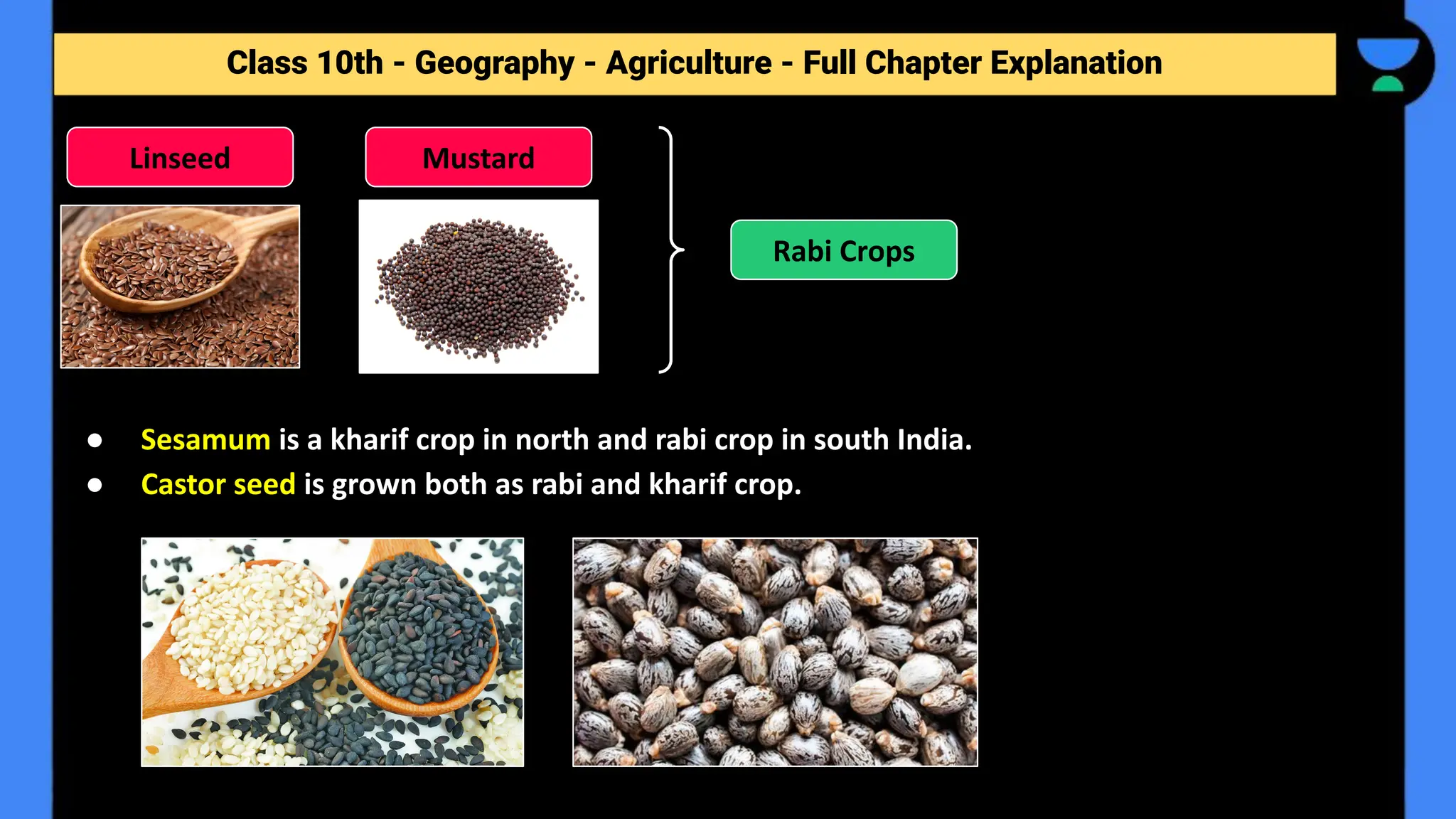 Class 10th - Geography - Agriculture - Full Chapter Explanation
● Sesamum is a kharif crop in north and rabi crop in south India.
● Castor seed is grown both as rabi and kharif crop.
Linseed Mustard
Rabi Crops
 