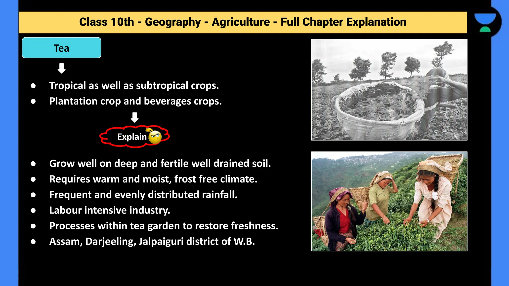 Class 10th - Geography - Agriculture - Full Chapter Explanation
● Tropical as well as subtropical crops.
● Plantation crop and beverages crops.
● Grow well on deep and fertile well drained soil.
● Requires warm and moist, frost free climate.
● Frequent and evenly distributed rainfall.
● Labour intensive industry.
● Processes within tea garden to restore freshness.
● Assam, Darjeeling, Jalpaiguri district of W.B.
Tea
Explain
 
