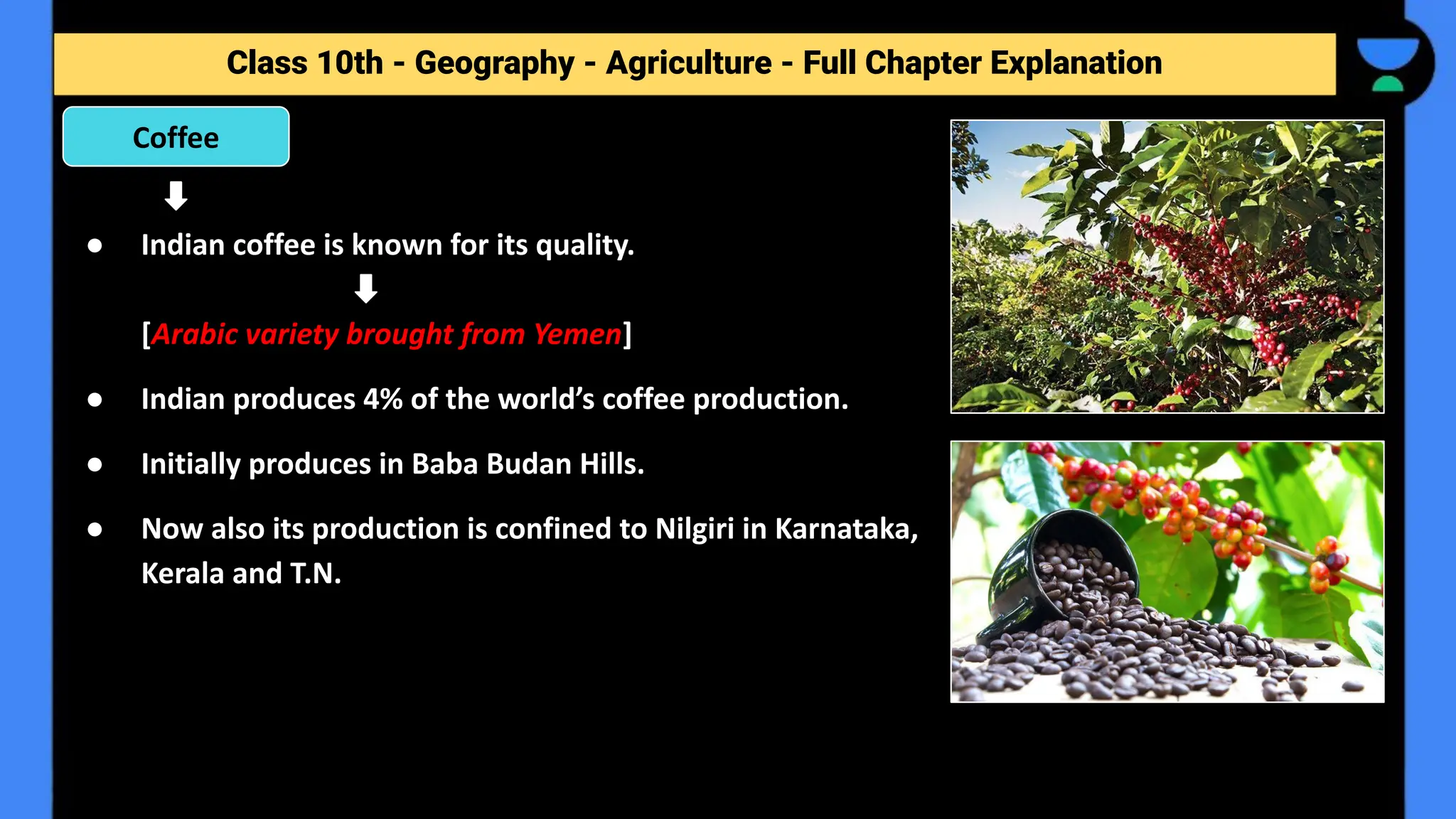 Class 10th - Geography - Agriculture - Full Chapter Explanation
● Indian coffee is known for its quality.
[Arabic variety brought from Yemen]
● Indian produces 4% of the world’s coffee production.
● Initially produces in Baba Budan Hills.
● Now also its production is confined to Nilgiri in Karnataka,
Kerala and T.N.
Coffee
 