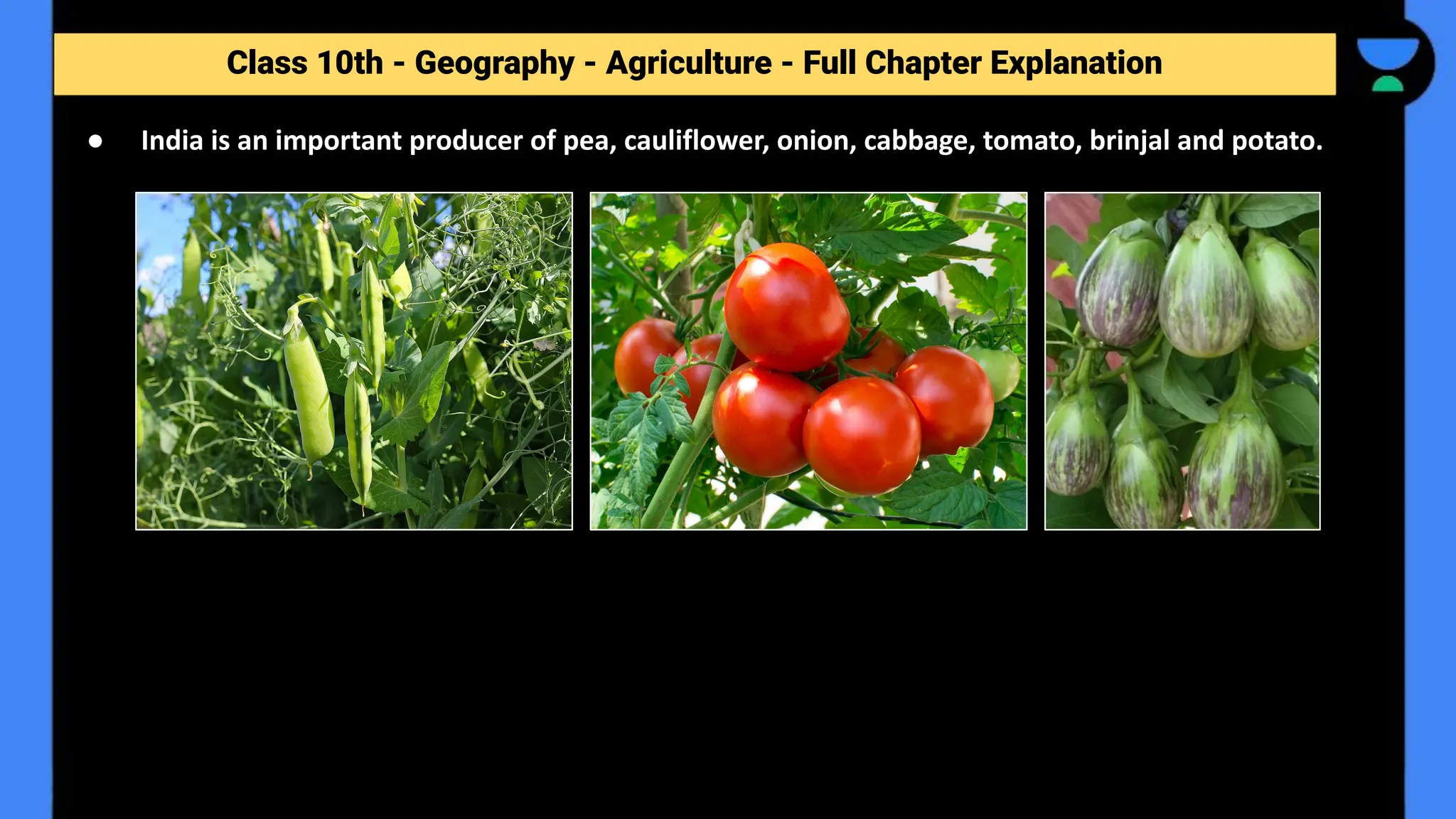 Class 10th - Geography - Agriculture - Full Chapter Explanation
● India is an important producer of pea, cauliflower, onion, cabbage, tomato, brinjal and potato.
 