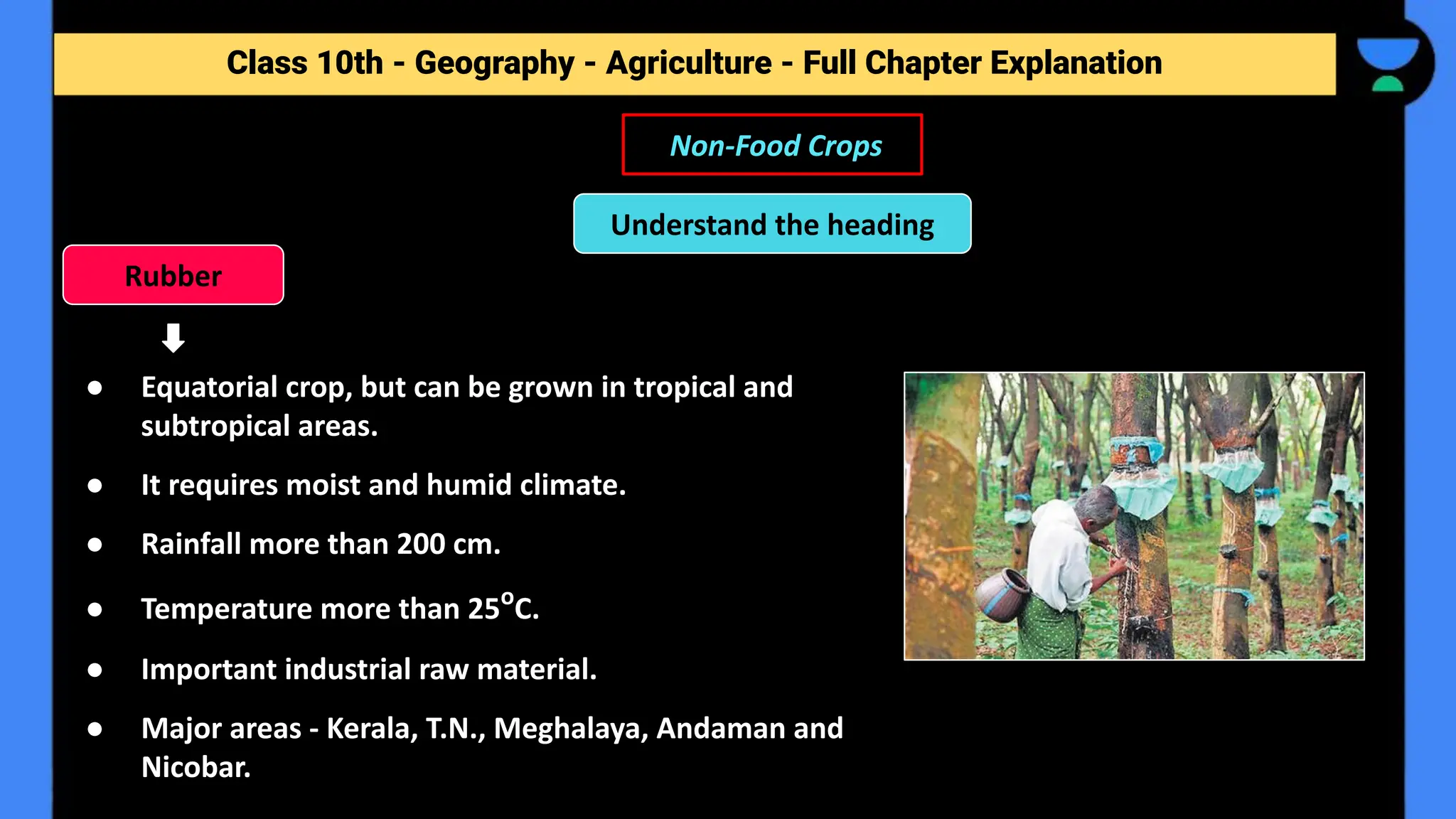 Class 10th - Geography - Agriculture - Full Chapter Explanation
● Equatorial crop, but can be grown in tropical and
subtropical areas.
● It requires moist and humid climate.
● Rainfall more than 200 cm.
● Temperature more than 25o
C.
● Important industrial raw material.
● Major areas - Kerala, T.N., Meghalaya, Andaman and
Nicobar.
Non-Food Crops
Rubber
Understand the heading
 