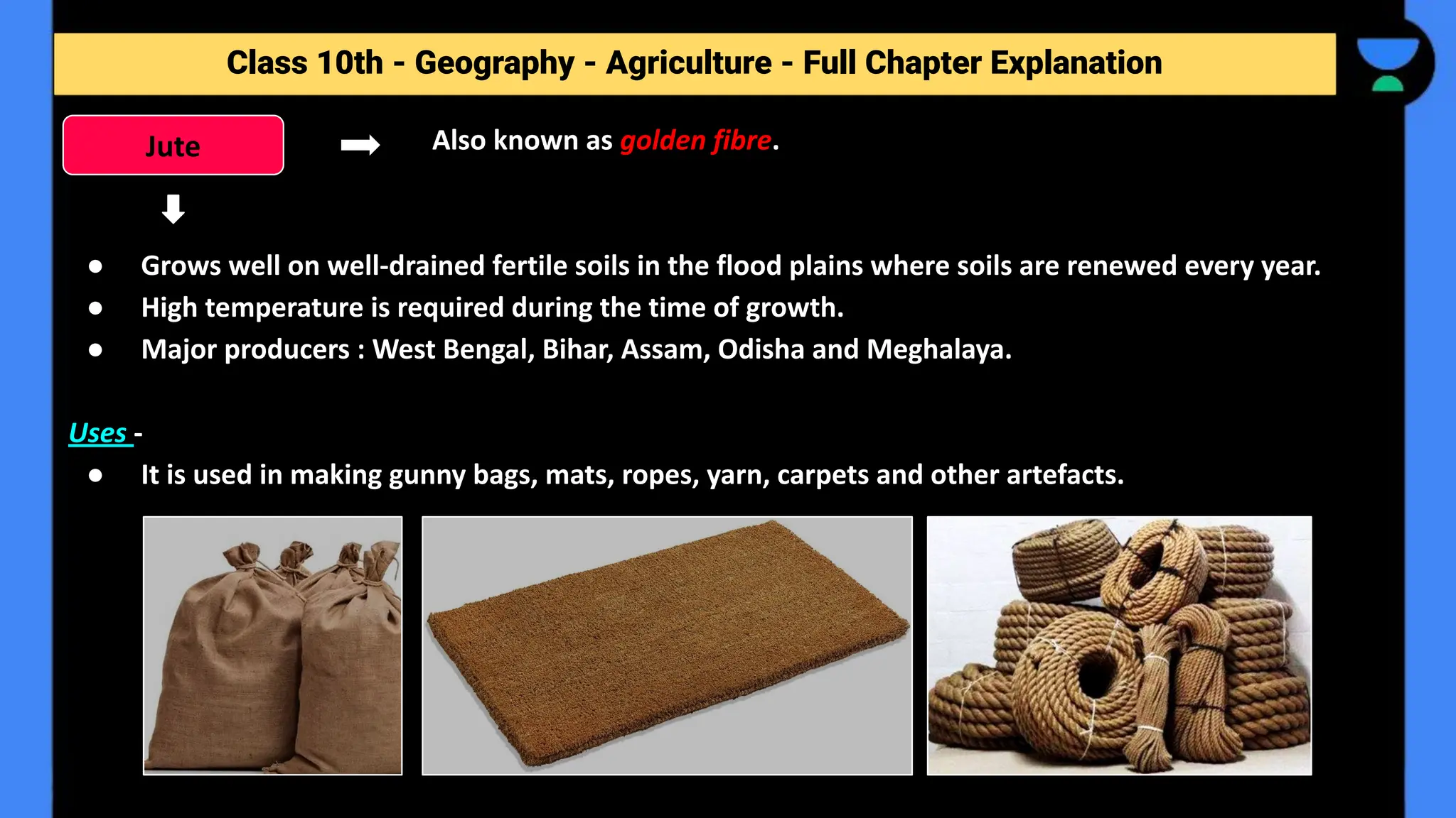 Class 10th - Geography - Agriculture - Full Chapter Explanation
Also known as golden fibre.
● Grows well on well-drained fertile soils in the flood plains where soils are renewed every year.
● High temperature is required during the time of growth.
● Major producers : West Bengal, Bihar, Assam, Odisha and Meghalaya.
Uses -
● It is used in making gunny bags, mats, ropes, yarn, carpets and other artefacts.
Jute
 