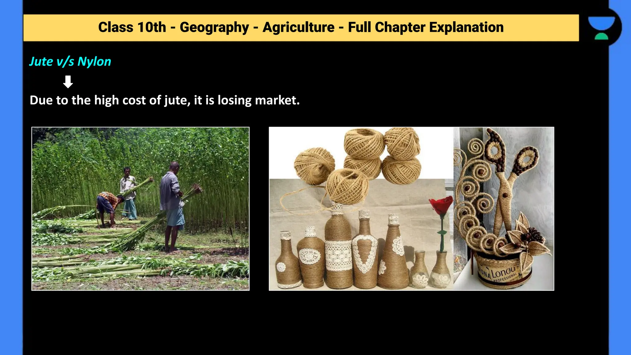 Class 10th - Geography - Agriculture - Full Chapter Explanation
Jute v/s Nylon
Due to the high cost of jute, it is losing market.
 