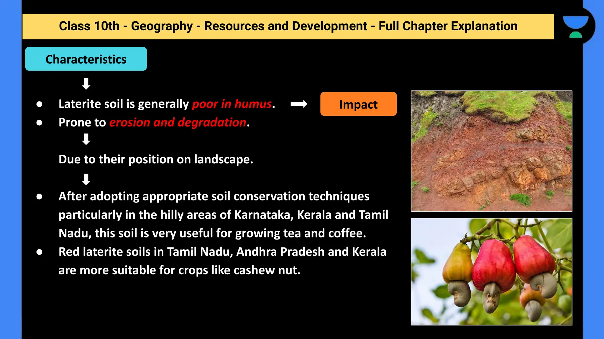 Class 10th - Geography - Resources and Development - Full Chapter Explanation
● Laterite soil is generally poor in humus.
● Prone to erosion and degradation.
Due to their position on landscape.
● After adopting appropriate soil conservation techniques
particularly in the hilly areas of Karnataka, Kerala and Tamil
Nadu, this soil is very useful for growing tea and coffee.
● Red laterite soils in Tamil Nadu, Andhra Pradesh and Kerala
are more suitable for crops like cashew nut.
Characteristics
Impact
 