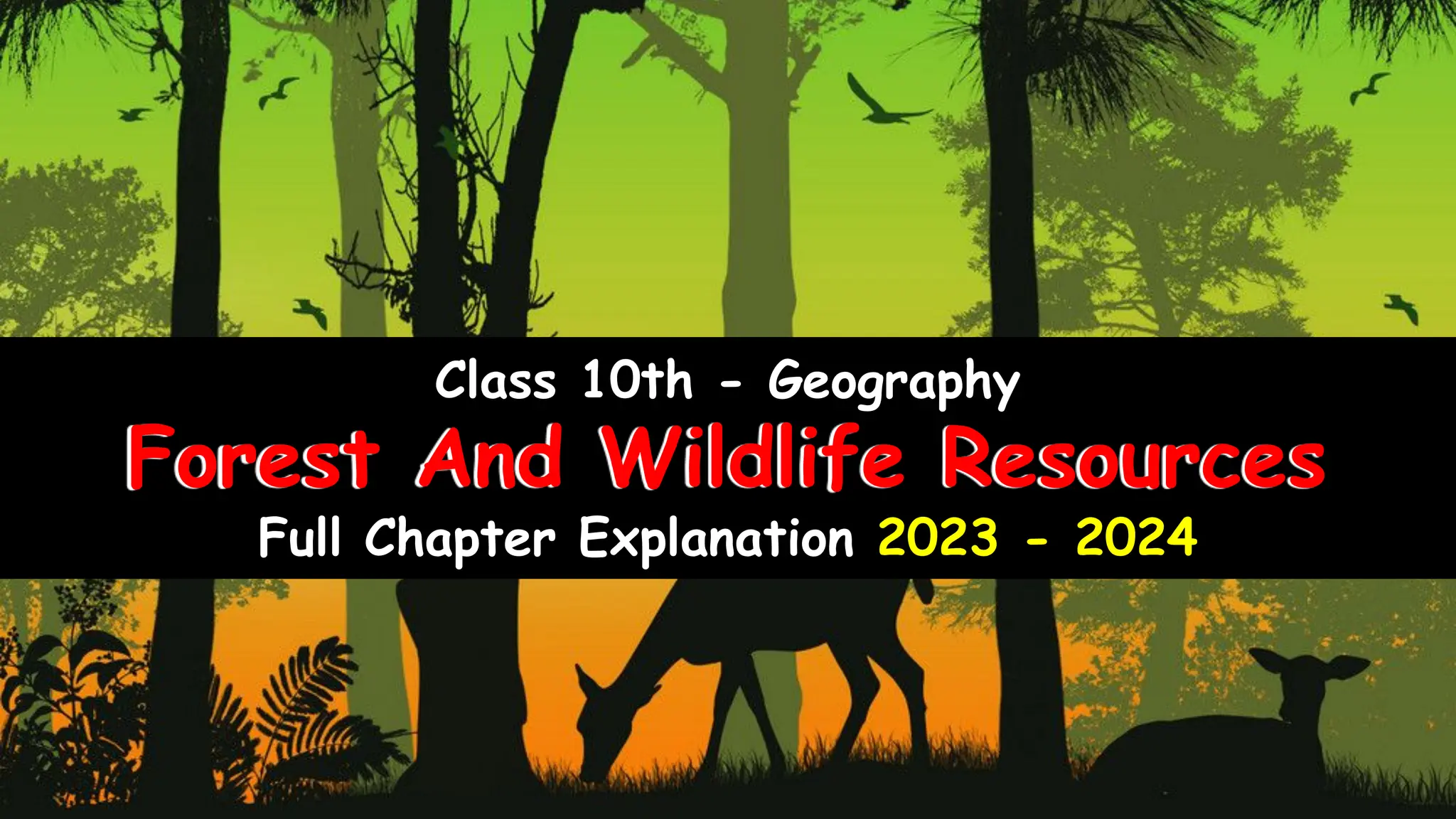 Class 10th - Geography - Forest and Wildlife Resources - Full Chapter Explanation
Class 10th - Geography
Full Chapter Explanation 2023 - 2024
Forest And Wildlife Resources
 